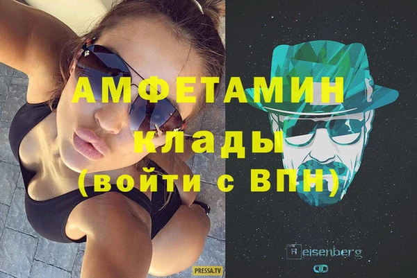 индика Волосово