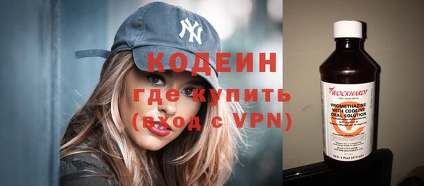 индика Волосово