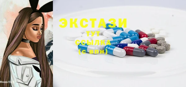 индика Волосово