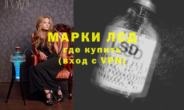 индика Волосово