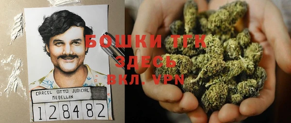 индика Волосово