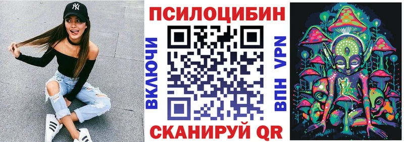 Галлюциногенные грибы GOLDEN TEACHER  цена наркотик  Канаш 
